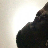 Ftwdaddy