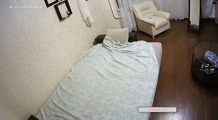 Guys after a party fucked a d. girl under hidden camera -- BestHomePorn.com