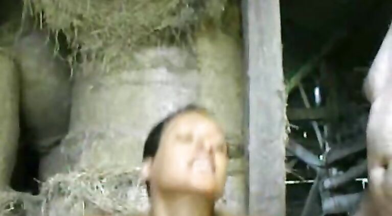 pussies and dicks collide in french incestuous rough sex.