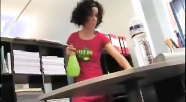 LA DONNA DELLE PULIZIE